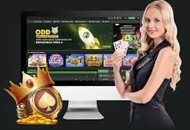 Panduan privasi kasino langsung untuk dewasa